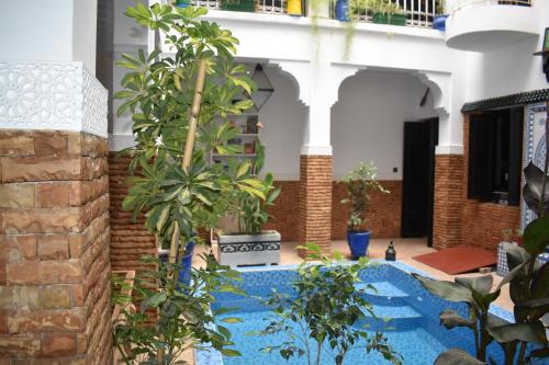 un patio con plantas y una piscina en Riad Dar Alamane en Marrakech