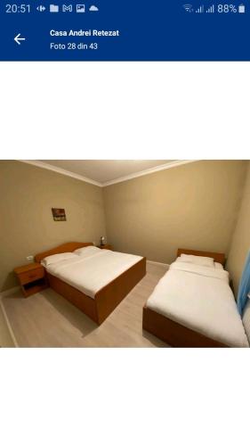 Casa Andrei Retezat - Triple Room With Shower