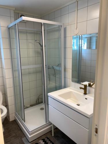 een badkamer met een douche en een wastafel bij BraMy Apartments The Cozy View in Tromsø