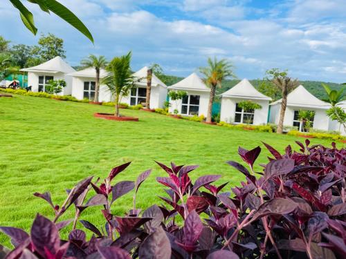a row of white houses with palm trees and green grass at Tamboo Resort Vajreshwari in Thane