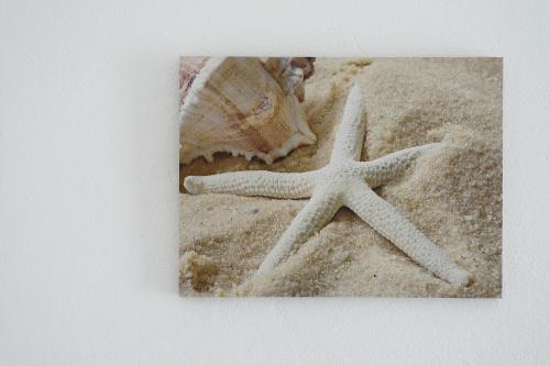 a picture of a starfish on the beach at Hostal Capri in Es Pujols