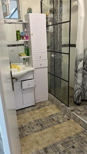 une salle de bain avec douche et lavabo dans l'établissement VILLA MARCO POLO, à Cannes