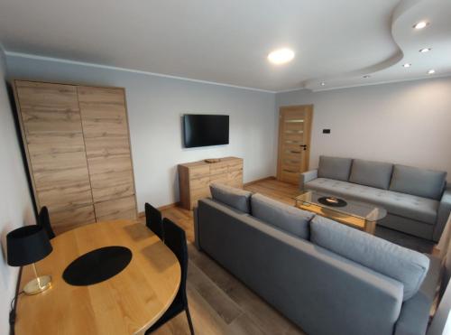 Televisyen dan/atau pusat hiburan di Apartament Magnat