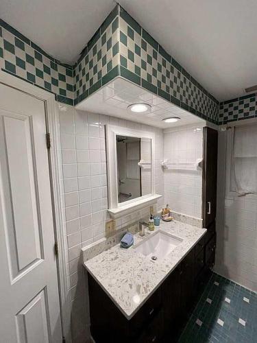 a bathroom with a sink and a mirror at Libby's Cove in Carsonville