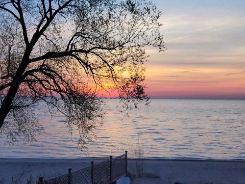 a sunset over a body of water with a tree at Libby's Cove in Carsonville