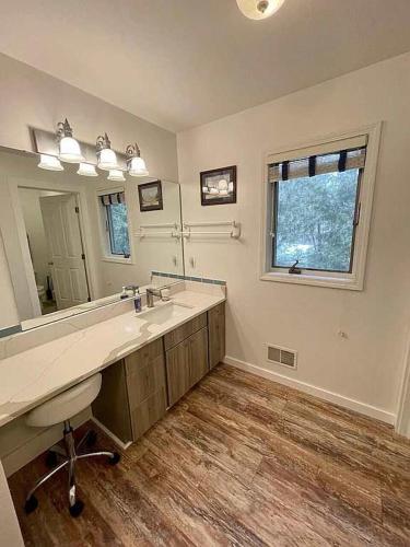 a bathroom with a sink and a large mirror at Libby's Cove in Carsonville