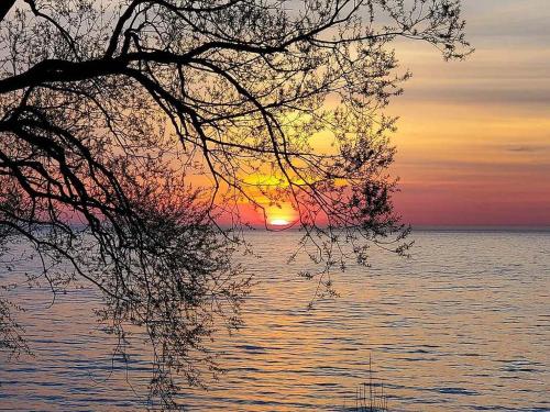 a sunset over a body of water with a tree at Libby's Cove in Carsonville