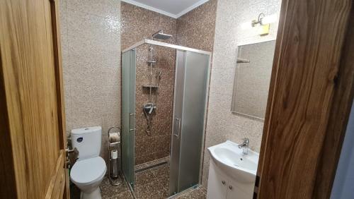 een badkamer met een douche, een toilet en een wastafel bij Pensiunea Venetia Sighisoara in Sighişoara