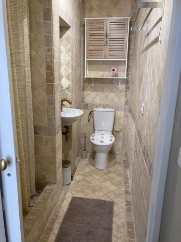 małą łazienkę z toaletą i umywalką w obiekcie Charmant studio dans le golfe de saint tropez w mieście Le Plan-de-la-Tour