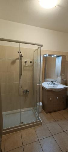 a bathroom with a shower and a sink at Appartamento Beatrice in Villanova dʼAsti