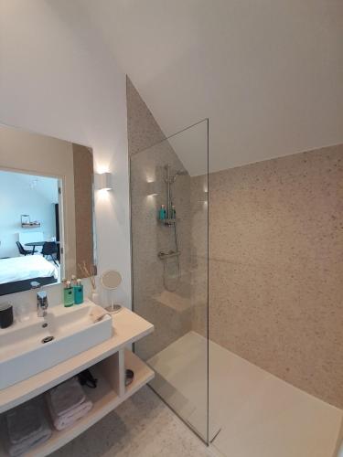 a bathroom with a sink and a shower with a mirror at B&B De Stuifduinen in Wetteren