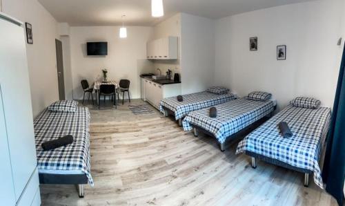 Foto dalla galleria di Apartamenty Mazal Dukla a Dukla