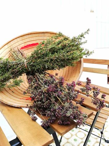 a wooden chair with a bunch of plants on it at Mazi Apartments Chic in Badalona