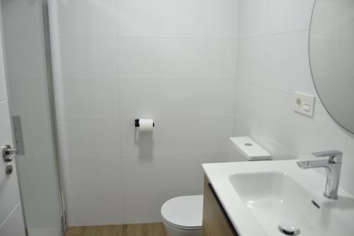 een badkamer met een douche, een wastafel en een toilet bij Apartamento El Mirador de la Rua in Estella