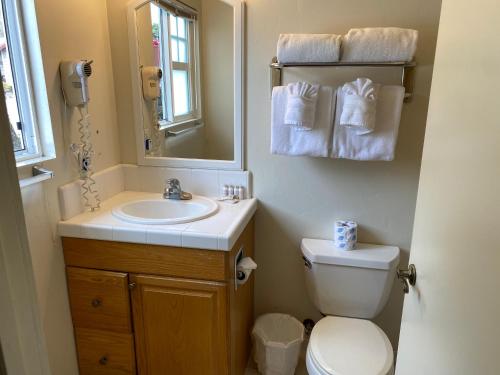 a bathroom with a sink and a toilet and a mirror at Bide-A-Wee Inn and Cottages in Pacific Grove