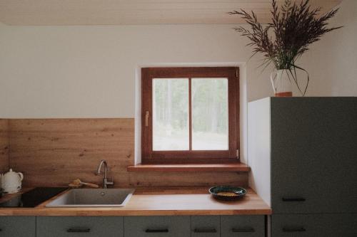 een keuken met een wastafel en een raam bij Secluded Holiday Home with Sauna in National Park by the Sea in Vaide