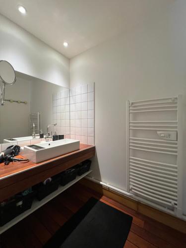 ein Badezimmer mit einem weißen Waschbecken und einer Dusche in der Unterkunft Pépite au plein centre historique in Lons-le-Saunier