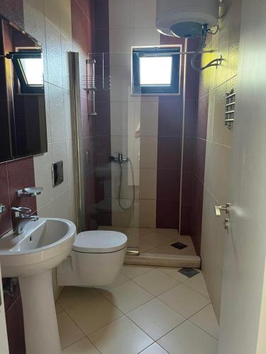 a bathroom with a shower and a toilet and a sink at Apartments Stanaj in Ulcinj