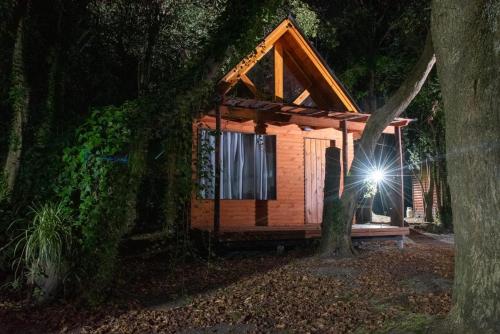 una pequeña cabaña de madera en el bosque por la noche en Cabañas Cuyen en Punta Indio
