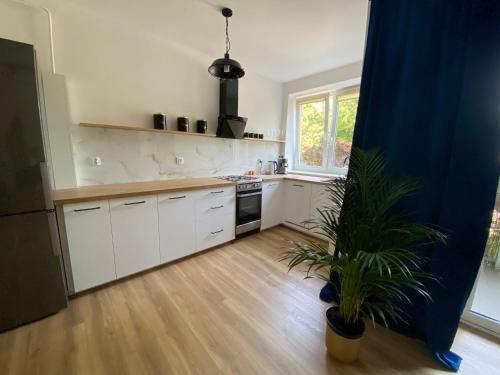 a kitchen with white cabinets and a potted plant at Ann's Apartment in Białystok