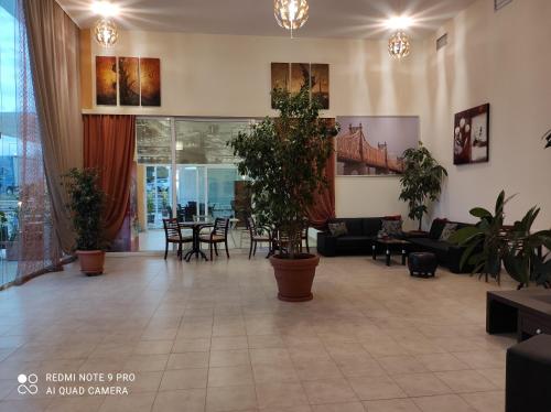 a living room with potted plants on the walls at Sofias Hotel in Ioannina