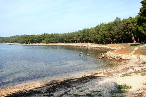 Fotografie z fotogalerie ubytování Apartments with a parking space Rovinj - 7378 v Rovinji