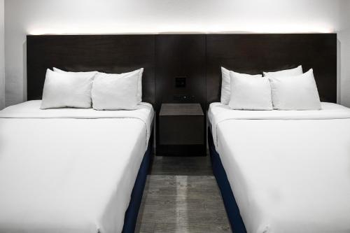 Φωτογραφία από το άλμπουμ του Hollywood Inn Express LAX σε Ίνγκλγουντ