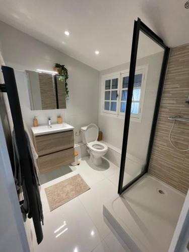 een badkamer met een toilet, een wastafel en een spiegel bij Nanterre : Super appartement tout confort in Nanterre