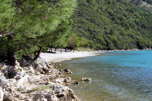 a beach with rocks and trees and a body of water at Apartments with parking space Gracisce, Central Istria - Sredisnja Istra - 7134 in Gračišće