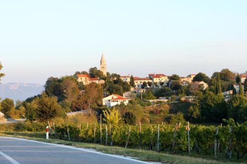 a town on a hill with a road and vineyards at Apartments with parking space Gracisce, Central Istria - Sredisnja Istra - 7134 in Gračišće