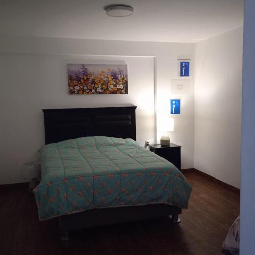 1 dormitorio con 1 cama y una pintura en la pared en DEPARTAMENTO RECAVARREN (SURQUILLO/MIRAFLORES) en Lima