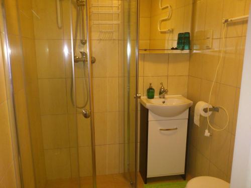 a bathroom with a shower and a sink and a toilet at Dom Mysliwski in Kobyłka