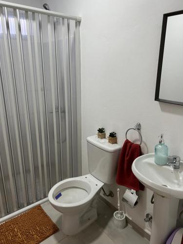a bathroom with a shower and a toilet and a sink at Apart del Este 2 in Paysandú
