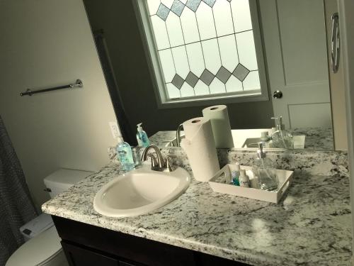 bagno con lavandino, servizi igienici e specchio di Brand New 3 bedroom 2 bath Home (Built 2022) a Huntsville