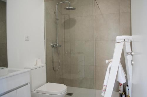ein Badezimmer mit Dusche und Toilette in der Unterkunft Sabor@Arte in Couto de Esteves