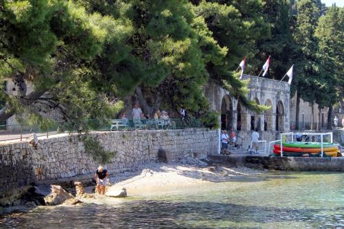 Fotografia z galérie ubytovania Apartments with a parking space Cavtat, Dubrovnik - 14177 v destinácii Cavtat