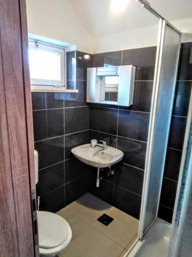 a bathroom with a sink and a toilet at Apartments with parking space Sumartin, Brac - 11926 in Sumartin