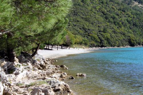 a beach with rocks and trees and a body of water at Triple Room Plomin Luka 15078c in Plomin