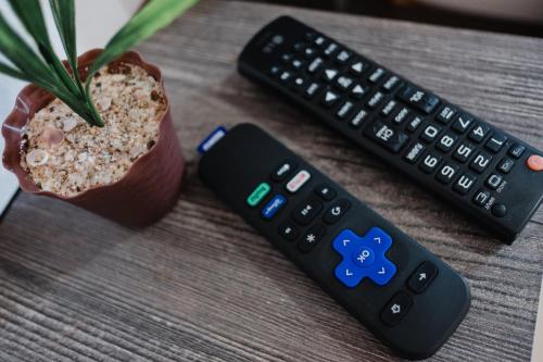 two remote controls sitting next to a plant on a table at Casa LU~NA hermoso alojamiento en privada in Culiacán