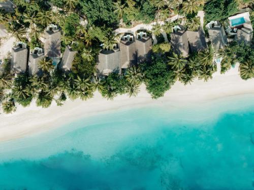 an aerial view of a beach with palm trees at Nova Maldives in Dhangethi