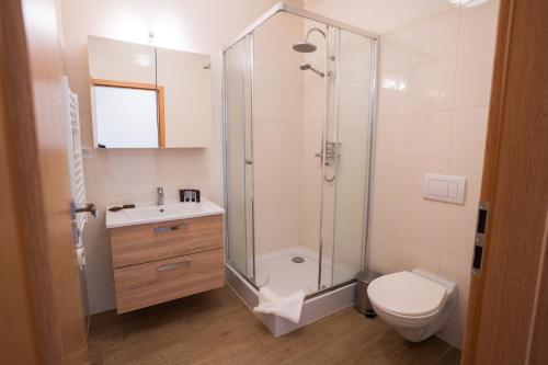 Tri Duby Golf Apartments في Badín: حمام مع دش ومرحاض ومغسلة