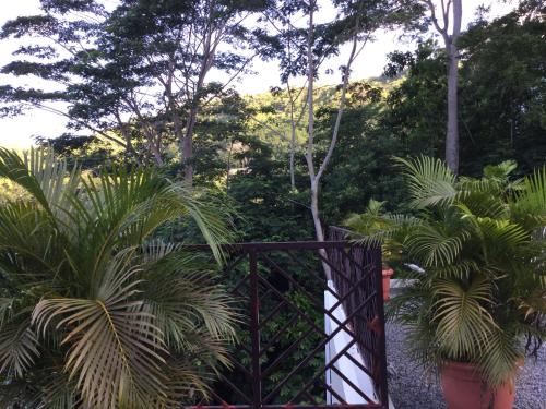 a gate in a garden with plants and trees at Bougainvillas Seychelles in Anse Royale