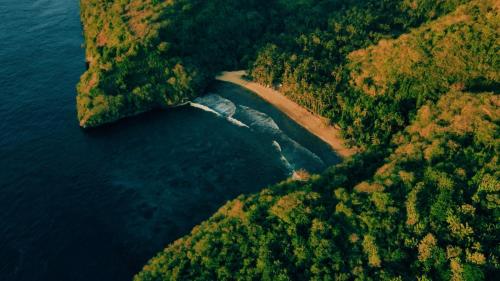 an aerial view of a forested island in the water at Sakti OceanView Nusa Penida in Nusa Penida