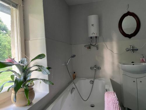 baño con bañera, lavamanos y planta en Domek na farmie en Sztum