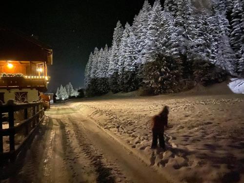 a person walking down a snow covered road at night at Appartamento al Tabià Pizal in Santo Stefano di Cadore
