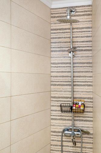 a shower in a bathroom with a wall at Malama BH Pico in Potos