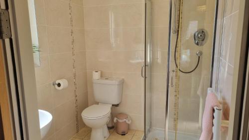 a small bathroom with a toilet and a shower at 2Bedroomed apartment on first floor with balcony in Kenmare