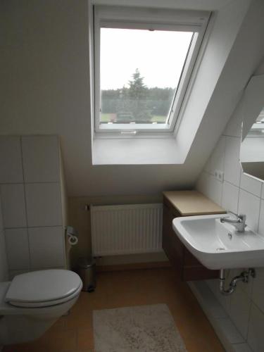 a bathroom with a toilet and a sink and a window at Ferienwohnung Neuendettelsau - Nähe Nürnberg - Schnelles Wlan in Neuendettelsau