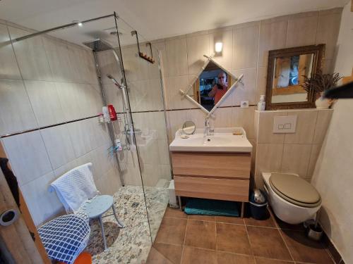 ein Bad mit einer Dusche, einem Waschbecken und einem WC in der Unterkunft La maison du vigneron in Auzon