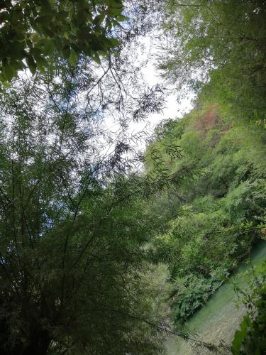 a view of a river in a forest with trees at Tre metr sopra il cielo '' GiraSoli'' in Felitto